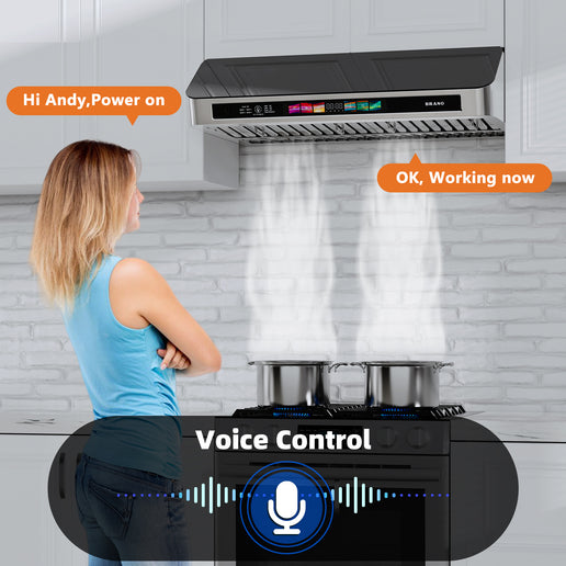 Hotte de cuisinière à conduit sous armoire de 30 po et 900 pi³/min